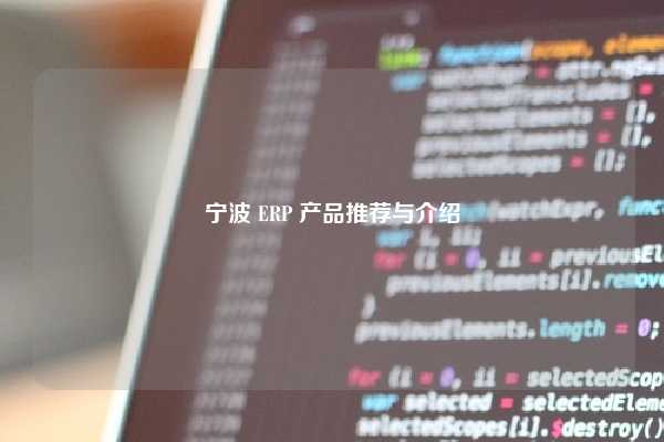 宁波 ERP 产品推荐与介绍