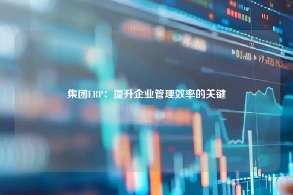 集团ERP：提升企业管理效率的关键