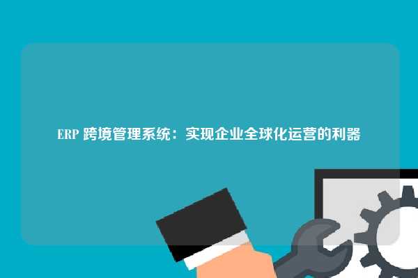 ERP 跨境管理系统：实现企业全球化运营的利器