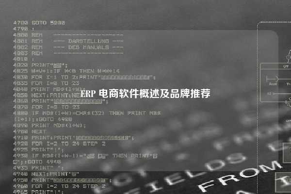 ERP 电商软件概述及品牌推荐