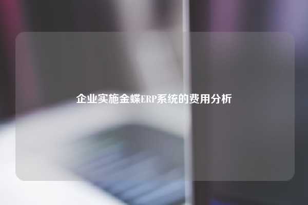 企业实施金蝶ERP系统的费用分析