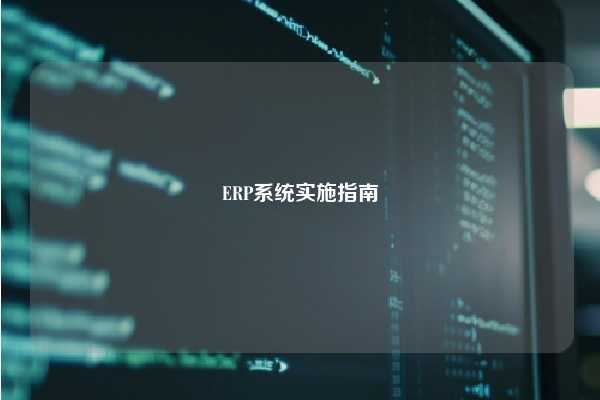 ERP系统实施指南