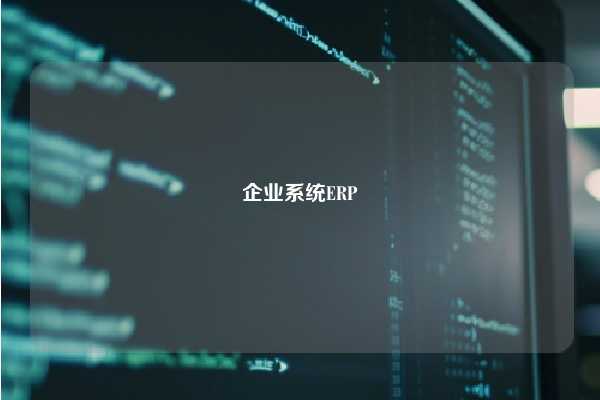 企业系统ERP