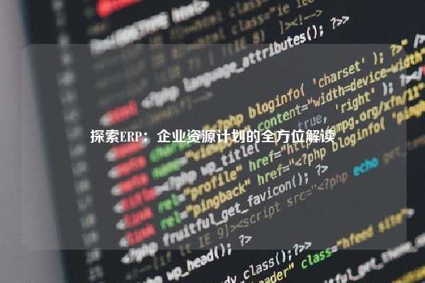 探索ERP：企业资源计划的全方位解读