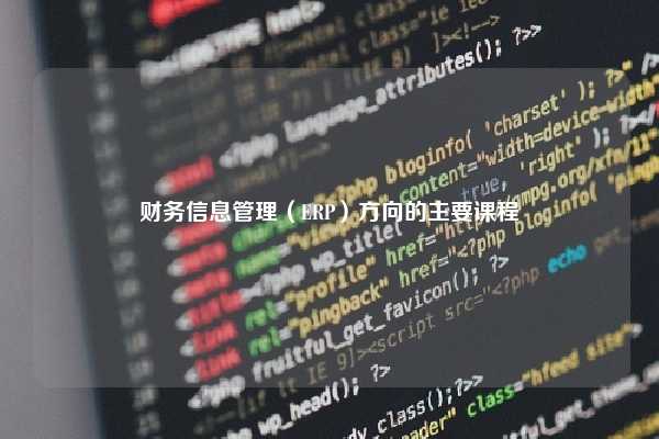 财务信息管理（ERP）方向的主要课程