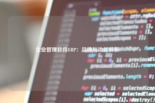 企业管理软件ERP：品牌与功能解析