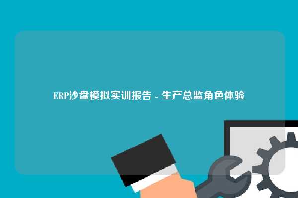 ERP沙盘模拟实训报告 - 生产总监角色体验