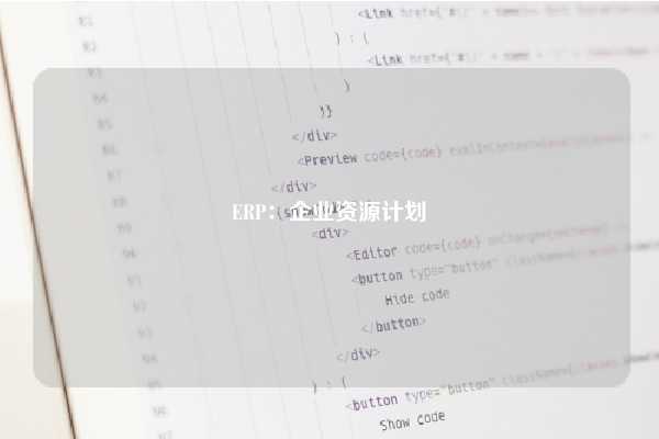 ERP：企业资源计划