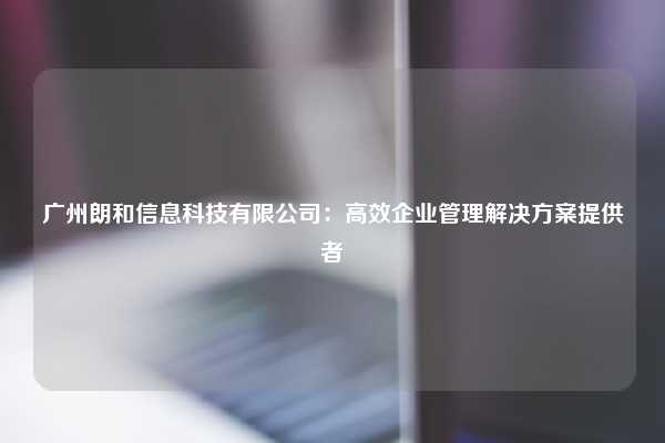 广州朗和信息科技有限公司：高效企业管理解决方案提供者