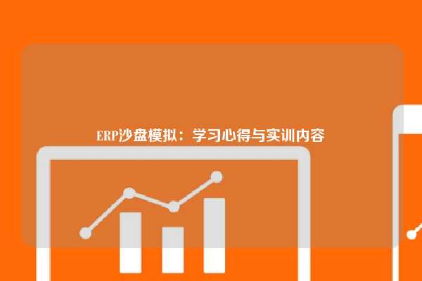 ERP沙盘模拟：学习心得与实训内容