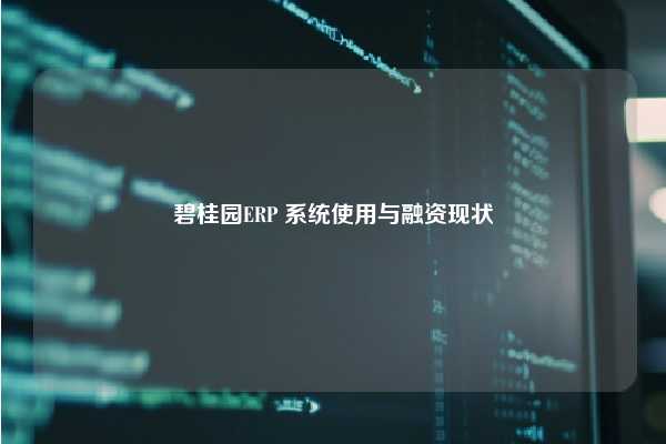 碧桂园ERP 系统使用与融资现状