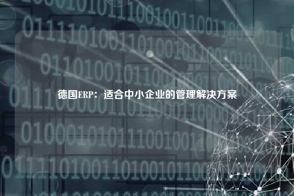 德国ERP：适合中小企业的管理解决方案