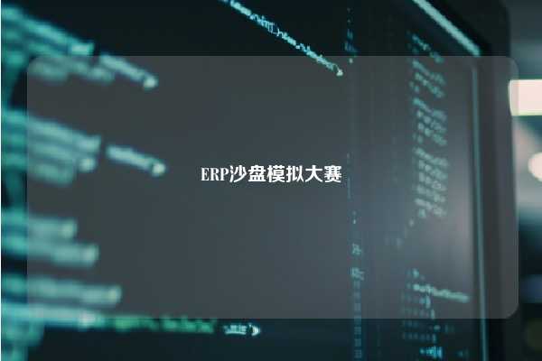 ERP沙盘模拟大赛