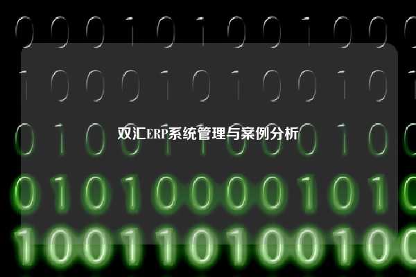 双汇ERP系统管理与案例分析