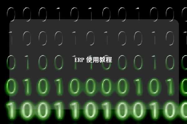 ERP 使用教程