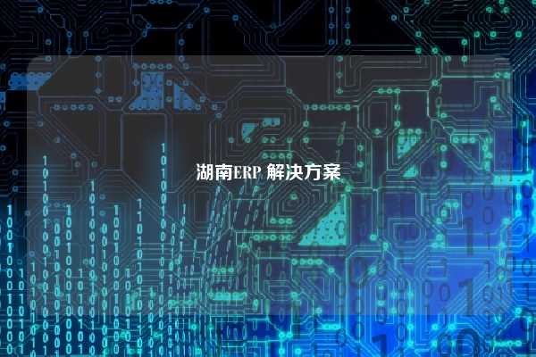 湖南ERP 解决方案