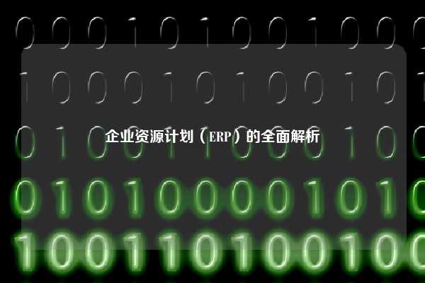 企业资源计划（ERP）的全面解析