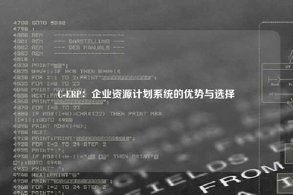 C-ERP：企业资源计划系统的优势与选择