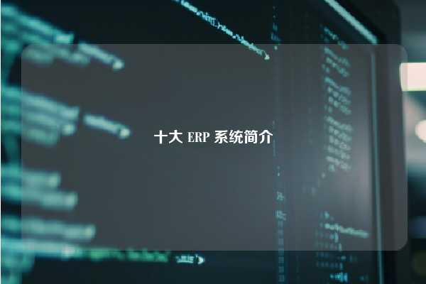 十大 ERP 系统简介