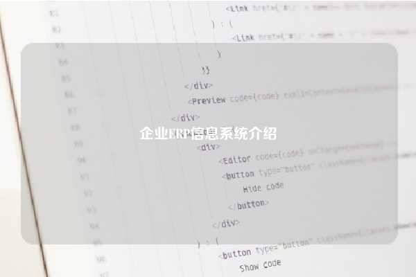 企业ERP信息系统介绍